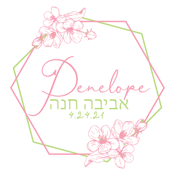 portfolioimg_Cherry Blossom Bat Mitzvah Logo