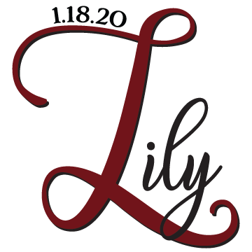 portfolioimg_Lily Maroon MItzvah Logo