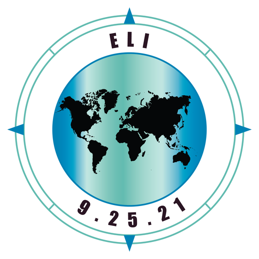 Where in the World - Travel Mitzvah Logo Design