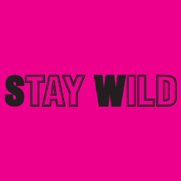 portfolioimg_Stay Wild Bat Mitzvah Logo Design
