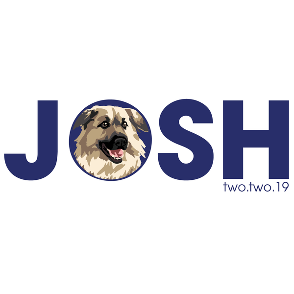 Dog Bar Mitzvah Logo Design