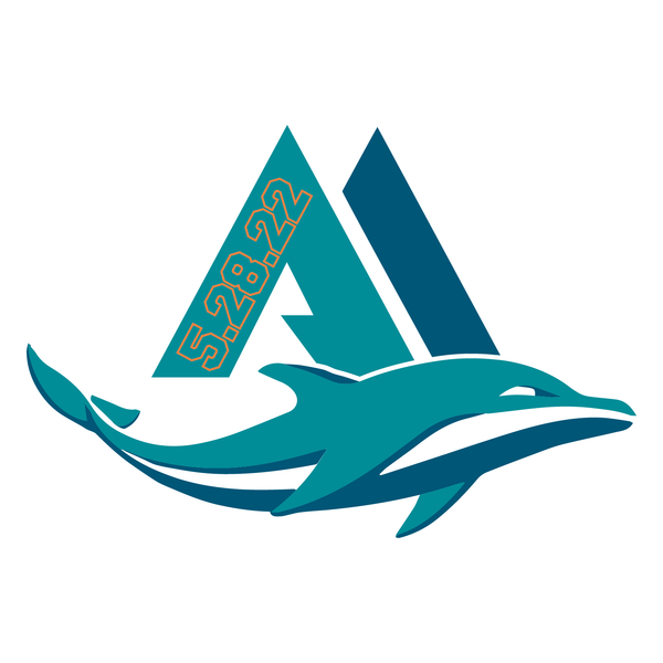 Miami Dolphins Custom Bar Mitzvah Logo Design